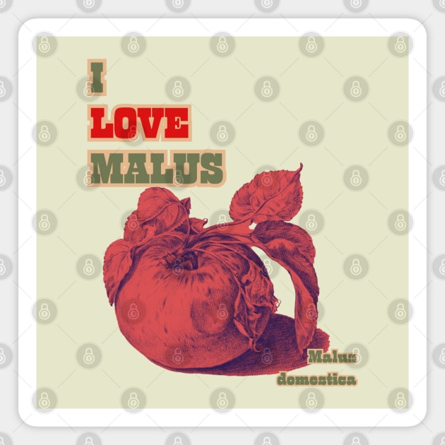 I Love Malus. Classic Red Apple Style Magnet by SwagOMart